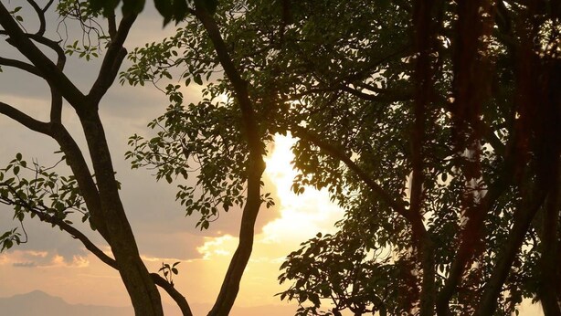 View from property - Discover Rwanda Gisenyi Beach (Gisenyi)