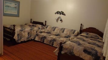 Classic Room | Iron/ironing board, free WiFi
