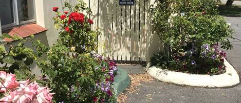 Ein verschlossenes Tor mit einem Schild, auf dem 'Navarra Beach House' steht.