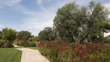 Un sendero pavimentado que atraviesa un jardín con arbustos y árboles diversos.
