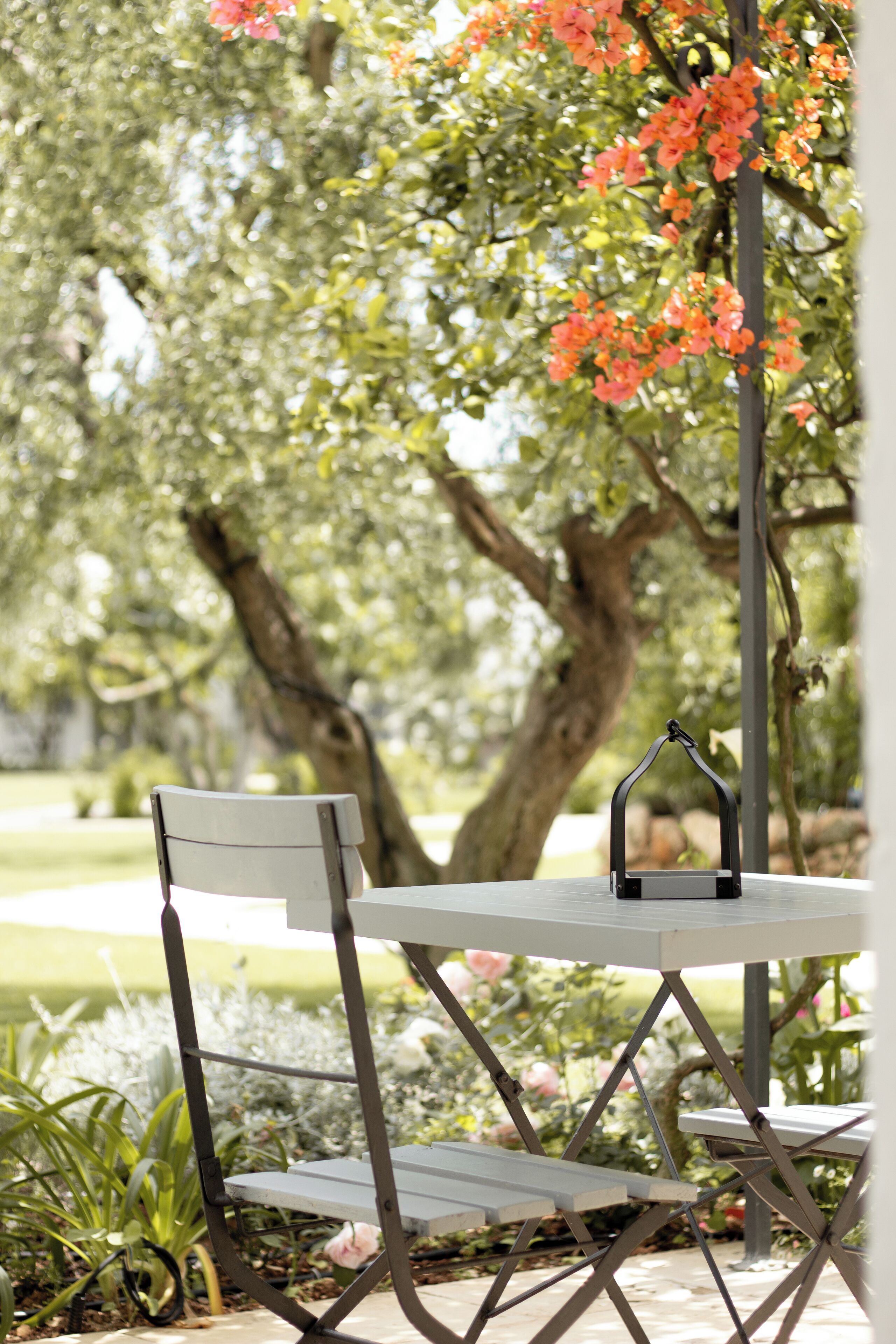 A table and chairs set outdoors with a tree and flowers in the background.