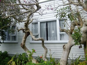 Budget Room (8 Nights) - Abbeycourt Motel (Lower Hutt)