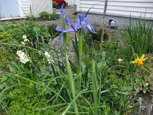 View from property - Abbeycourt Motel (Lower Hutt)