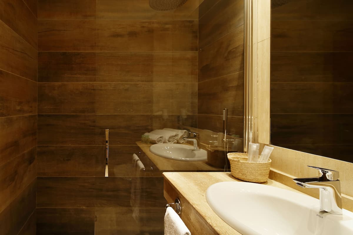 shower, free toiletries, hair dryer, bidet