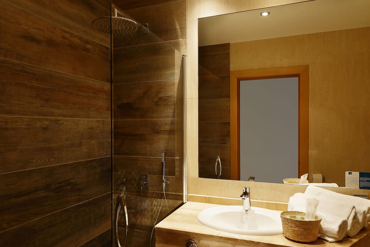 shower, free toiletries, hair dryer, bidet