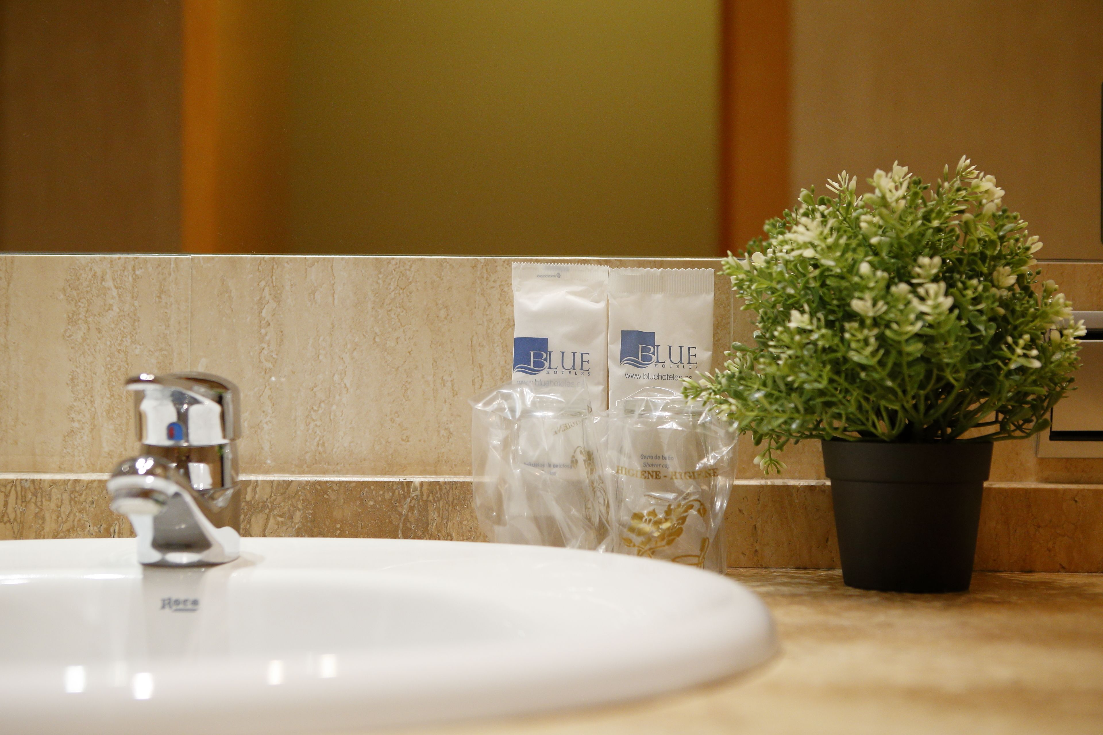 shower, free toiletries, hair dryer, bidet