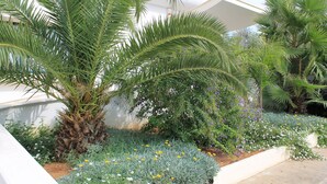 Un jardín con palmeras y plantas en flor.
