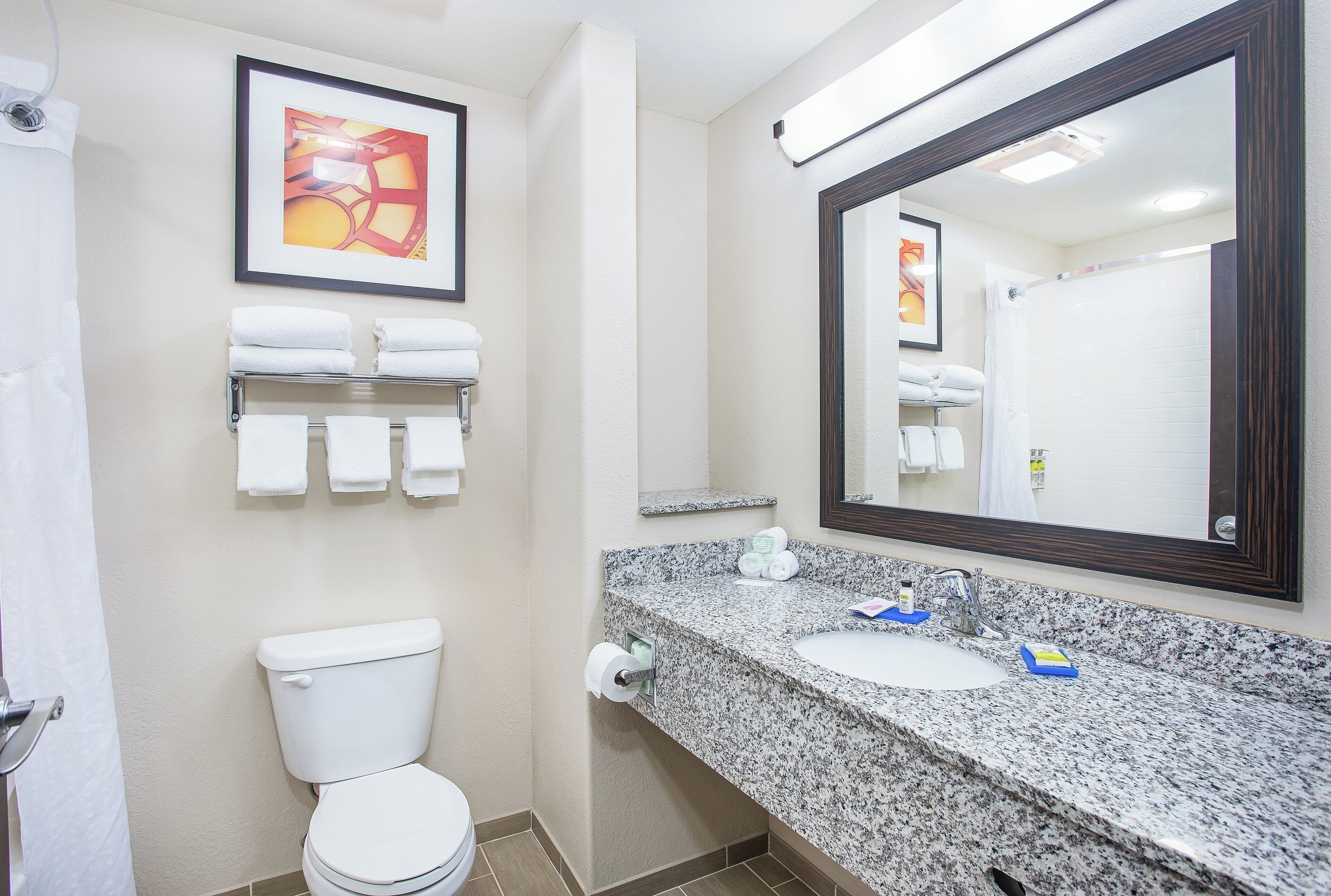 Un baño con inodoro, lavamanos, espejo, toallero y un cuadro en la pared.