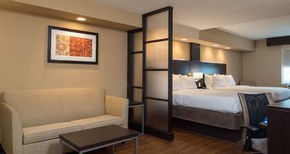 Holiday Inn Express & Suites San Antonio Medical-Six Flags by IHG