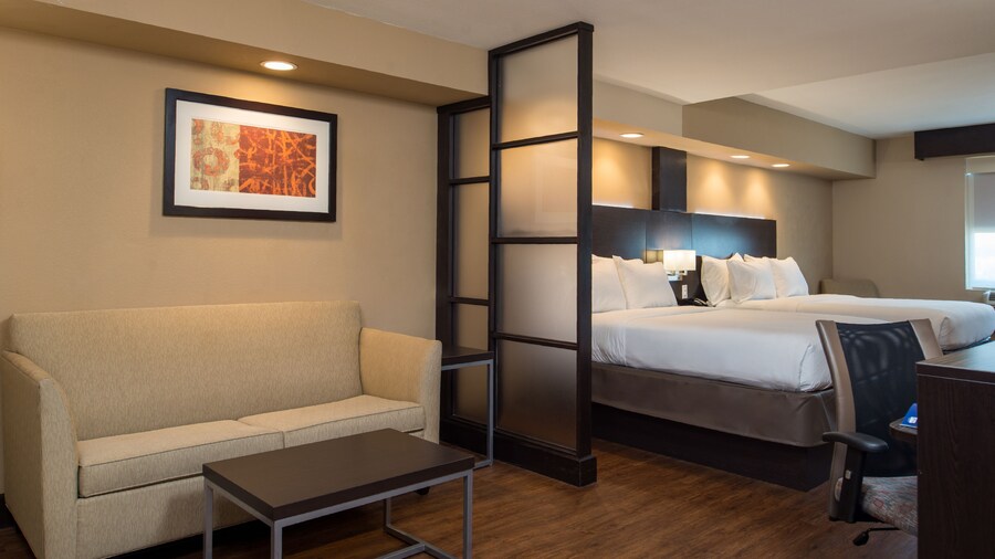 Holiday Inn Express & Suites San Antonio Medical-Six Flags by IHG