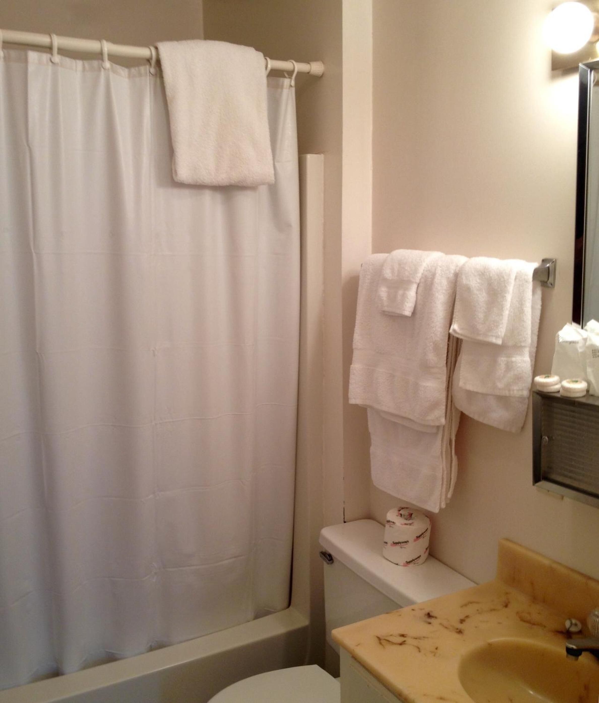 A bathroom with a shower curtain, a toilet, a sink, and a mirror.
