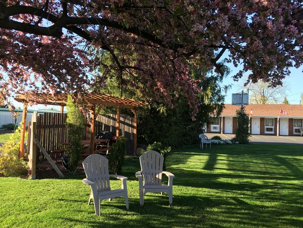 A garden with a wooden pergola, two Adirondack chairs, and a building with numbered rooms in the background.