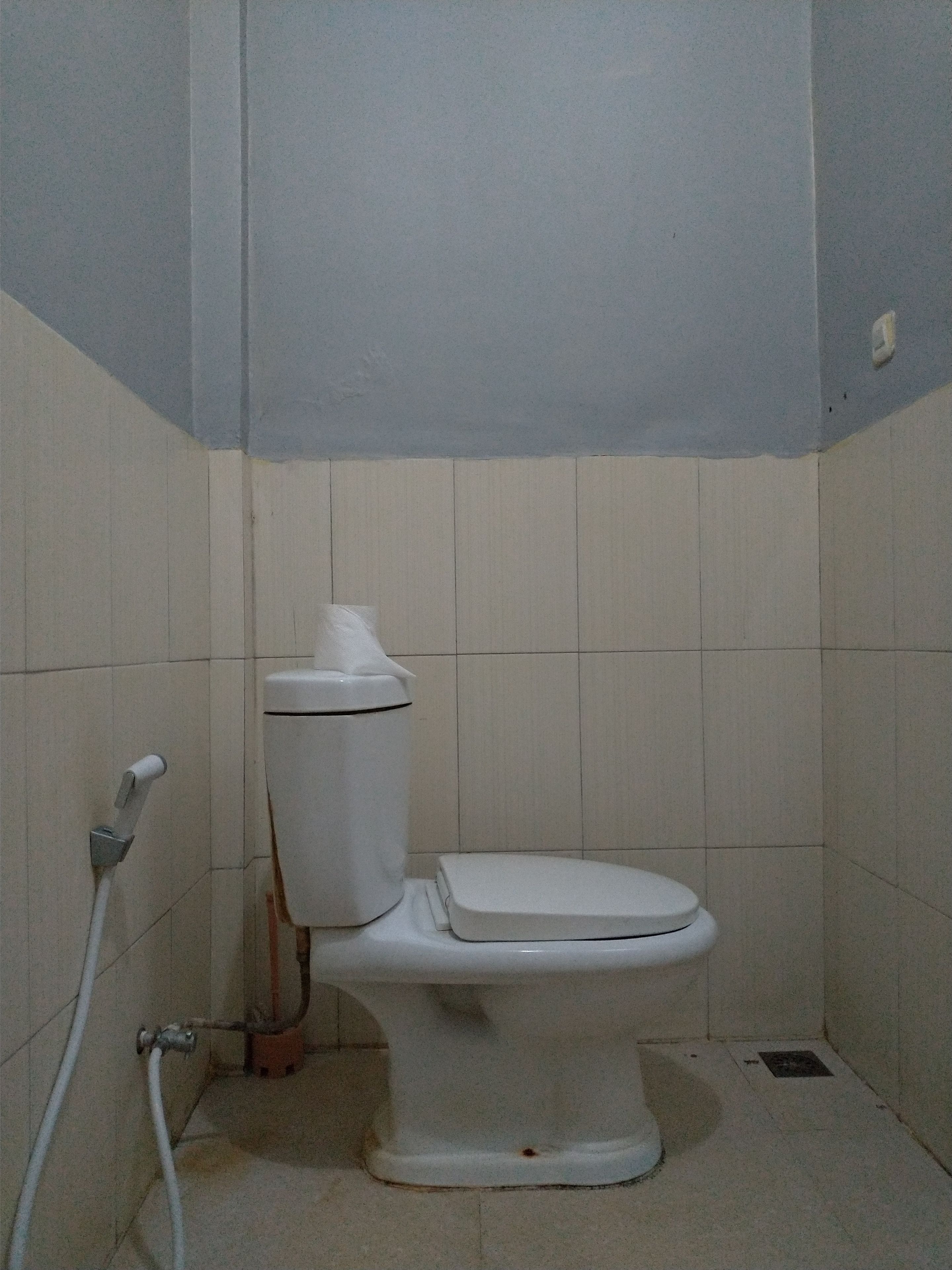 Ein kleines, schlichtes Badezimmer mit Toilette, Dusche und einem fest montierten Toilettenpapierhalter.
