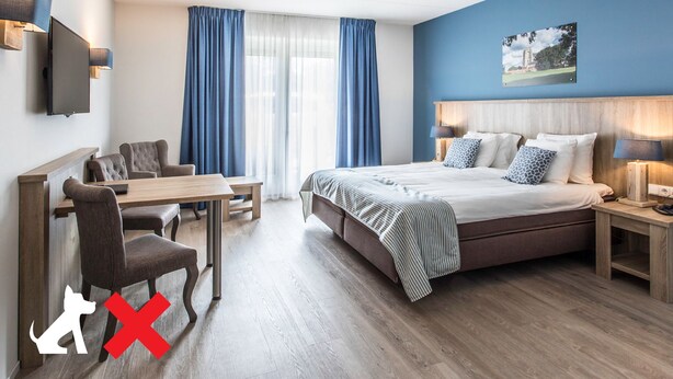 Una habitación de hotel con una cama, un escritorio y una silla.