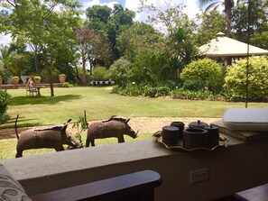Garden - Armadale Boutique Hotel & Villas (Harare)
