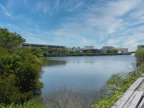 A calm river with a wooden walkway on the right, surrounded by greenery. In the background, there are buildings and a clear sky.