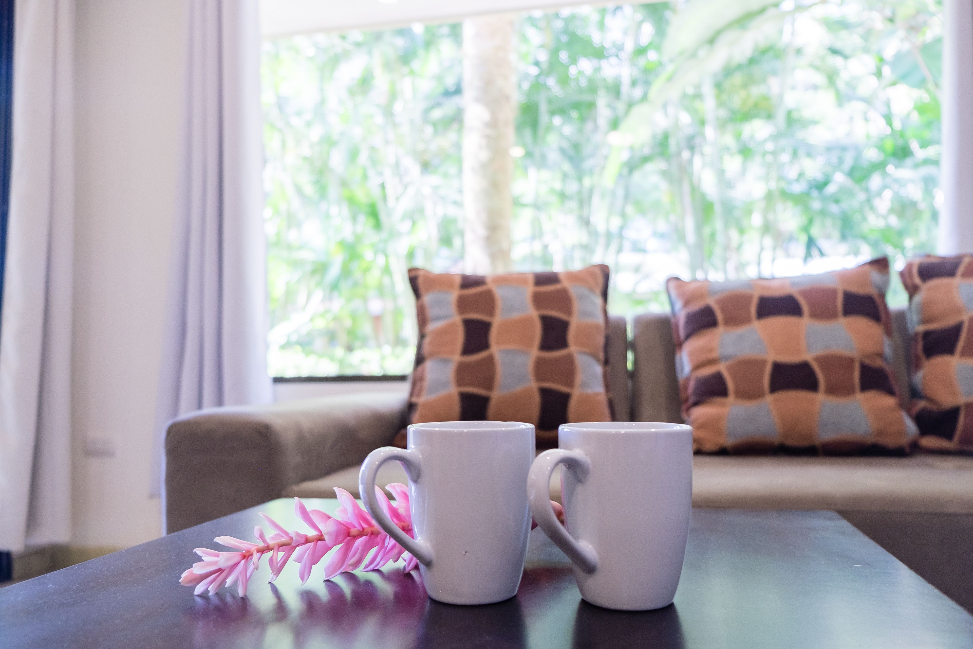 Una habitación con un sofá, dos tazas blancas y una flor rosa sobre una mesa.