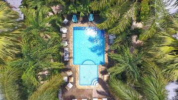 An aerial view of a rectangular swimming pool surrounded by palm trees, with lounge chairs and a small table.