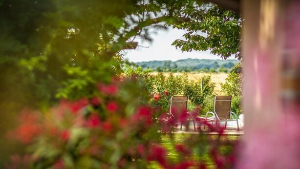 A garden view with two chairs and a table, surrounded by greenery and flowers.