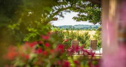 Les Barelles Chambres Dhôtes