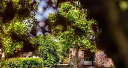 Les Barelles Chambres Dhôtes