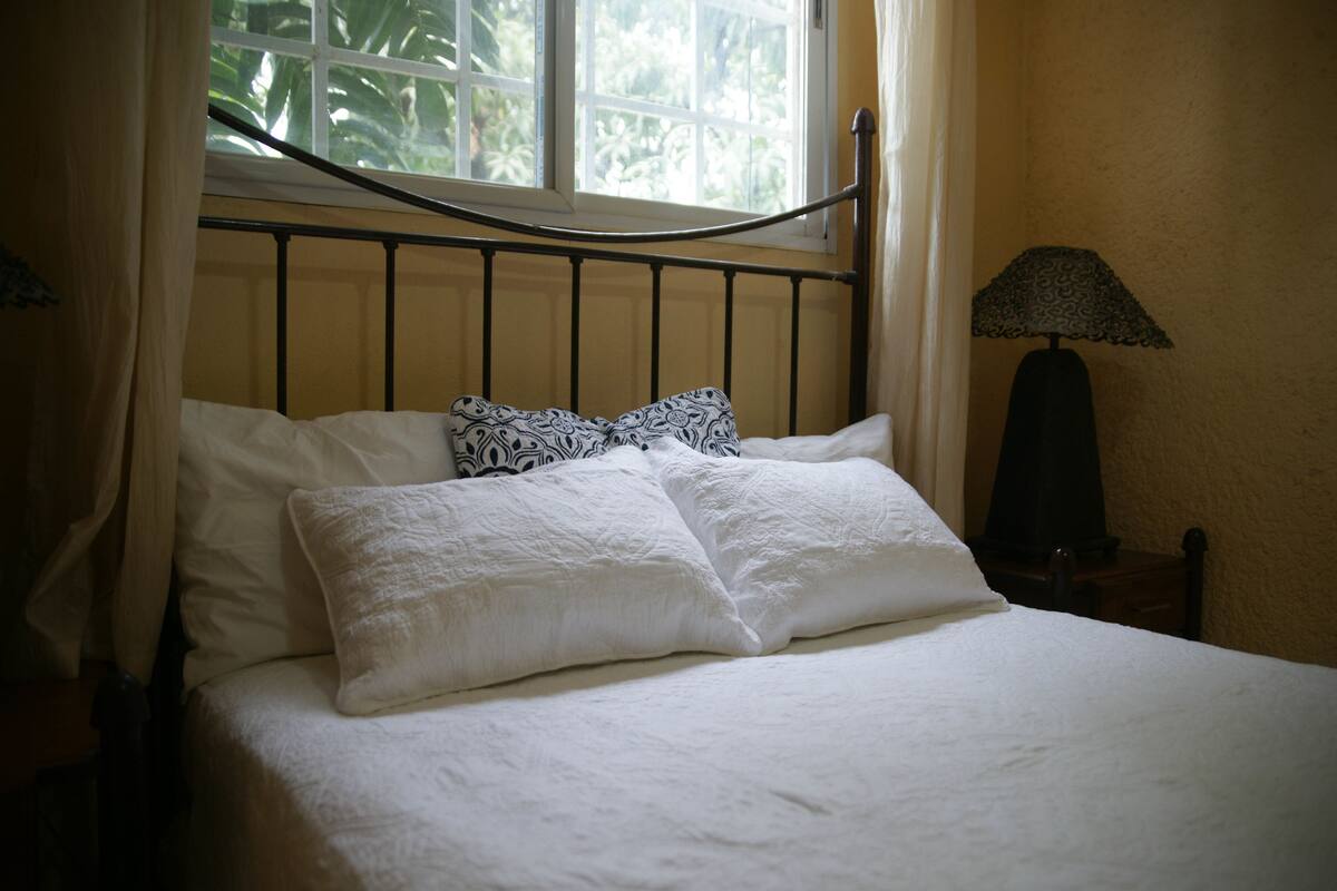 Una cama con ropa blanca y almohadas estampadas, una ventana con cortinas y una lámpara en una mesita de noche.