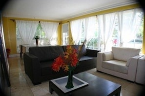 Flat-screen TV