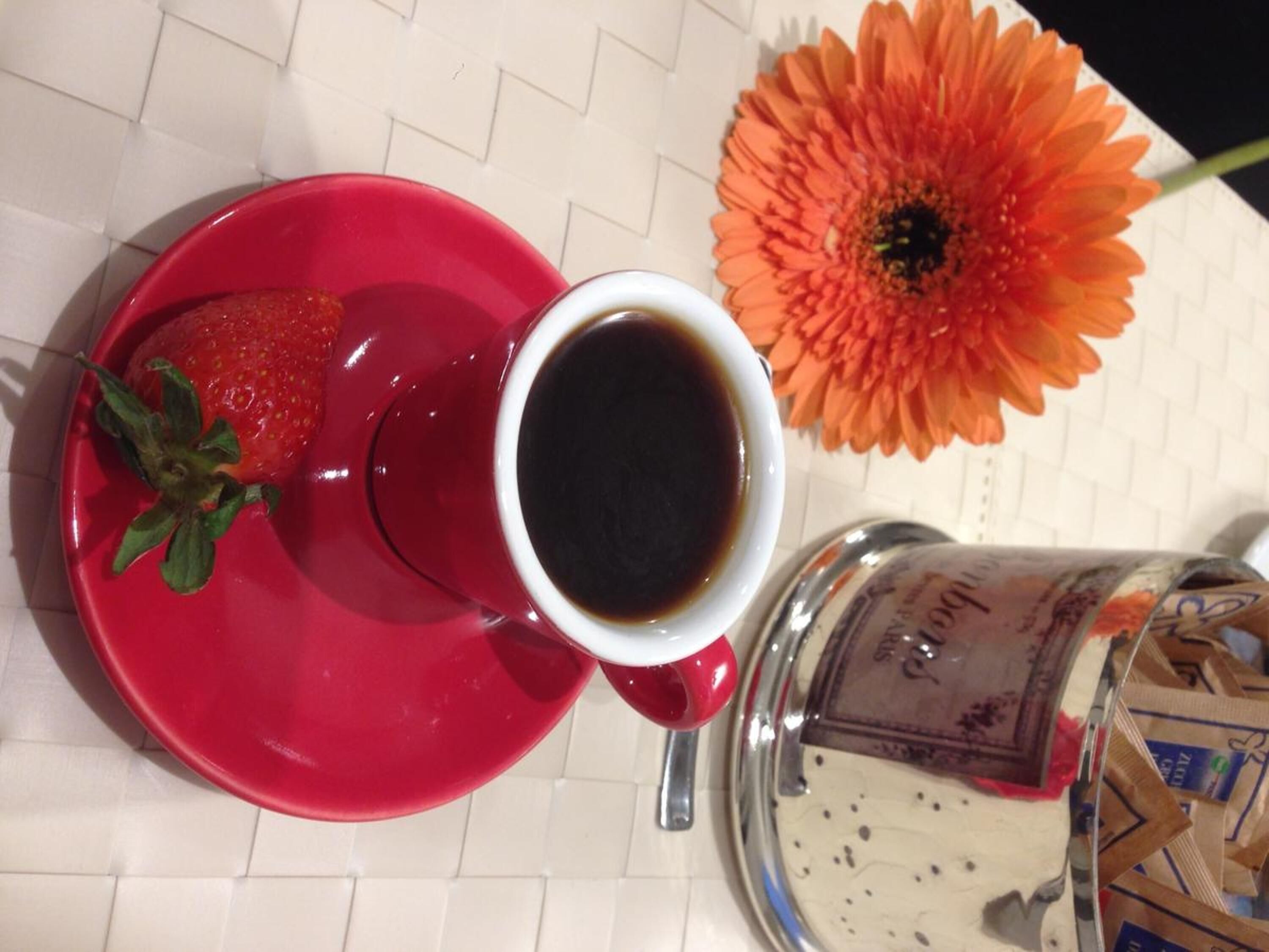 Photo - Gemini Suite