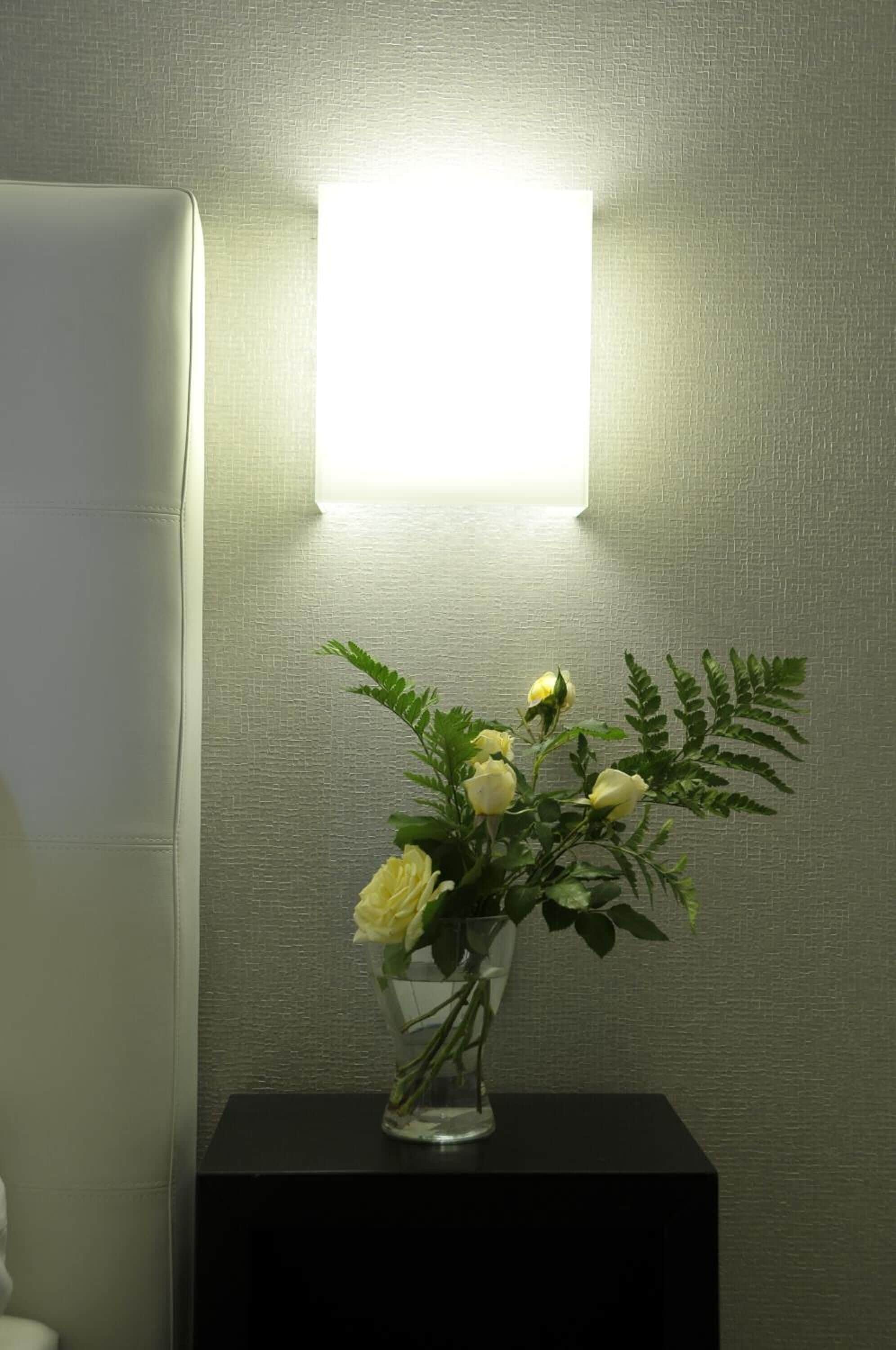 Photo - Gemini Suite