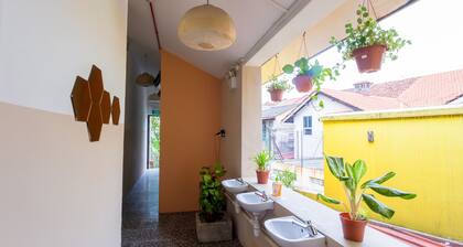The Hive Singapore Hostel