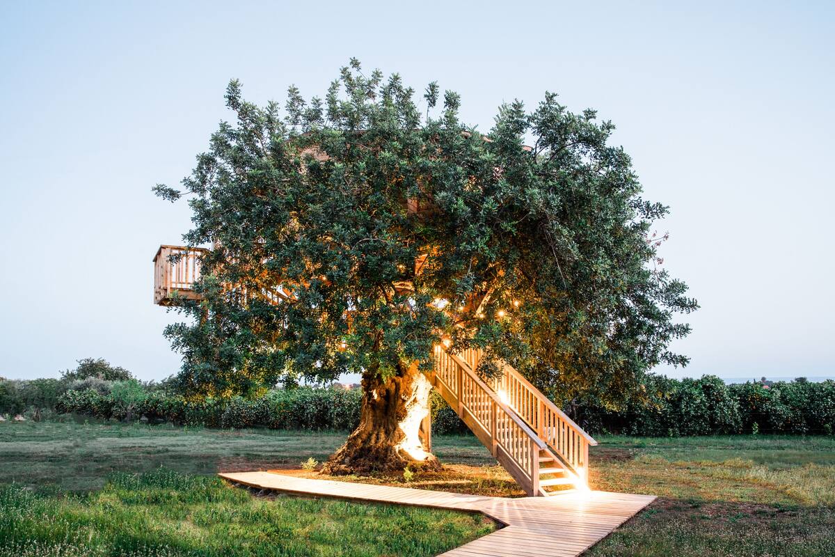 Casa Deluxe en un árbol, 1 cama de matrimonio grande, vistas al mar | Ropa de cama de alta calidad, minibar, caja fuerte