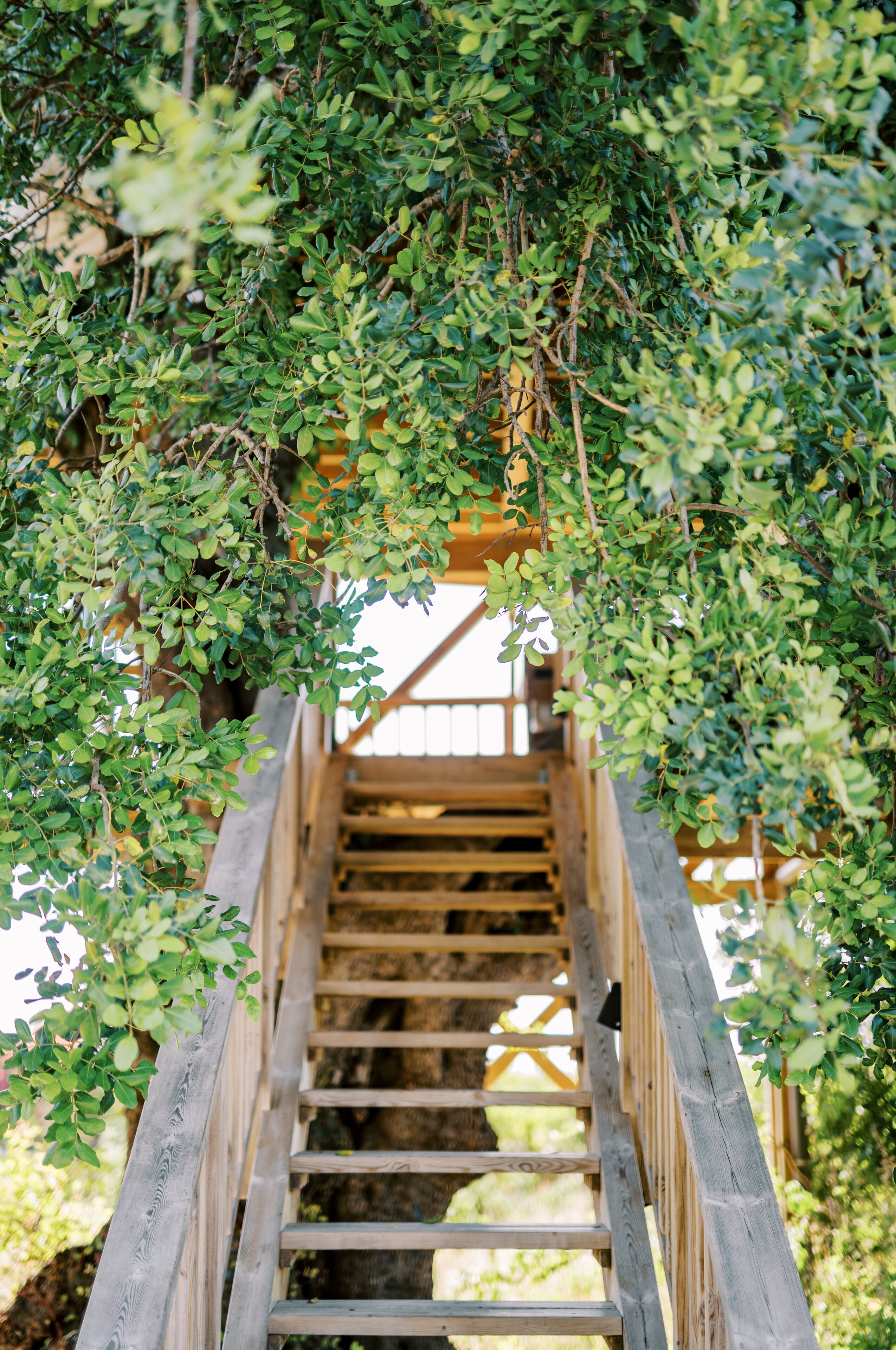 豪華樹屋, 1 張特大雙人床, 海景 | 露台/庭院