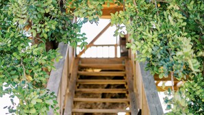 Deluxe boomhut, 1 kingsize bed, uitzicht op zee | Terras