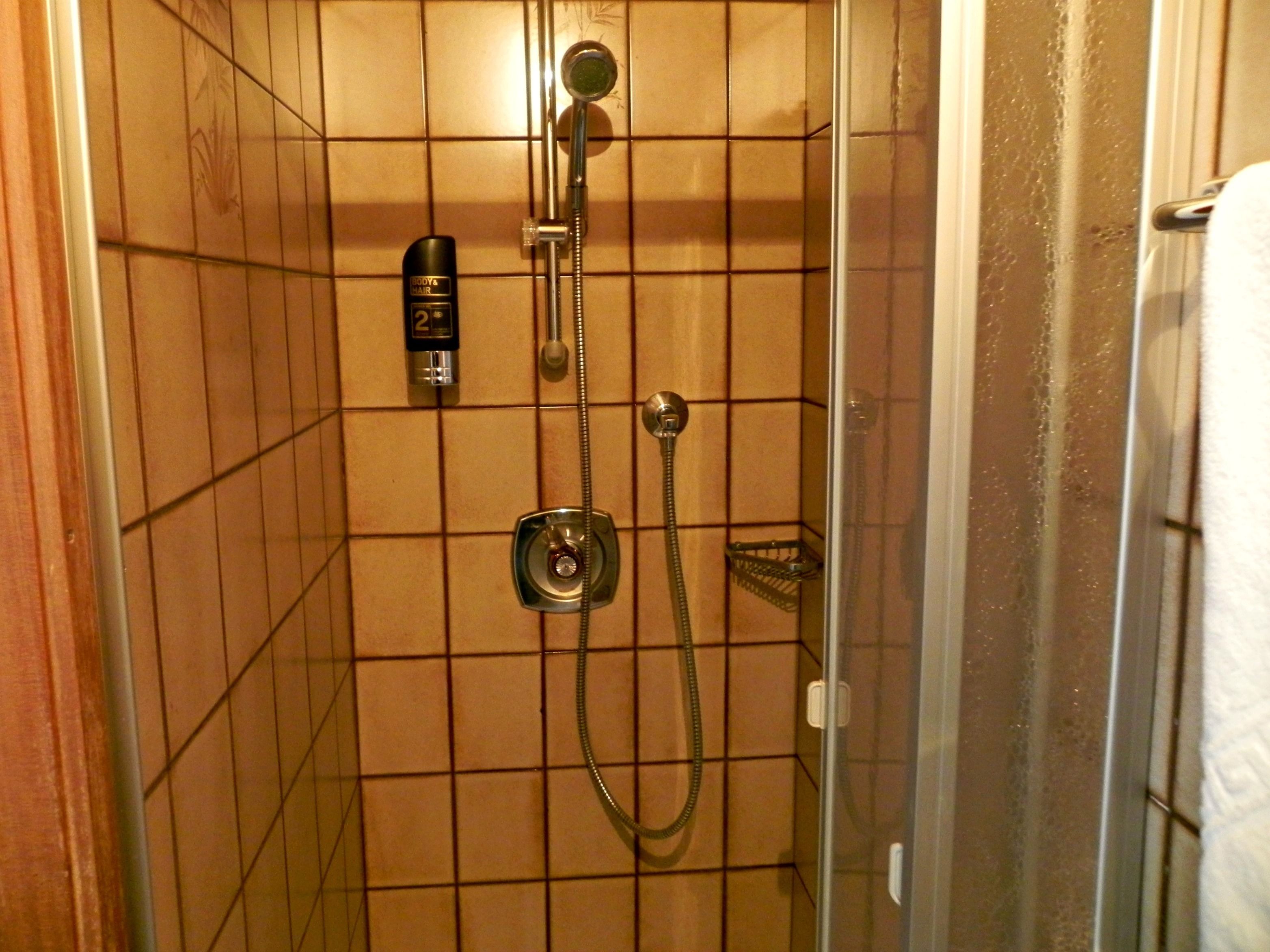 A shower with a handheld showerhead, a wall-mounted faucet, and a bottle of shampoo.