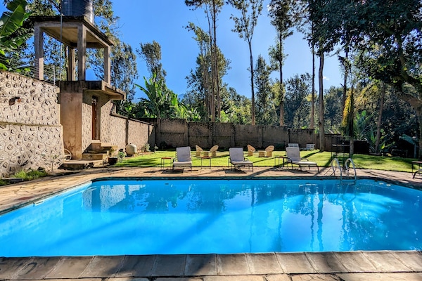 Outdoor pool, pool loungers