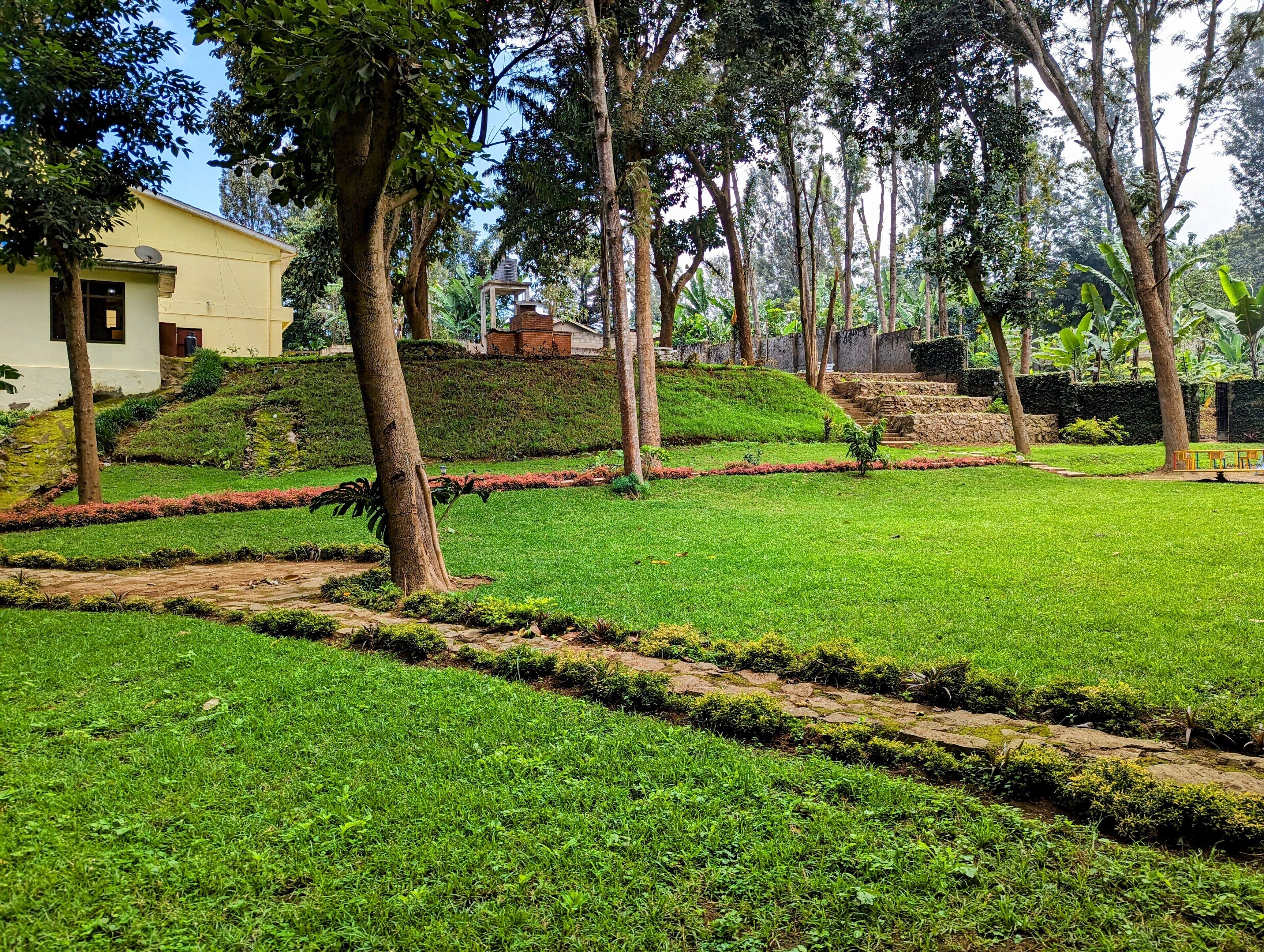 Un jardin luxuriant et verdoyant, avec un sentier menant à un bâtiment équipé d’une antenne parabolique.