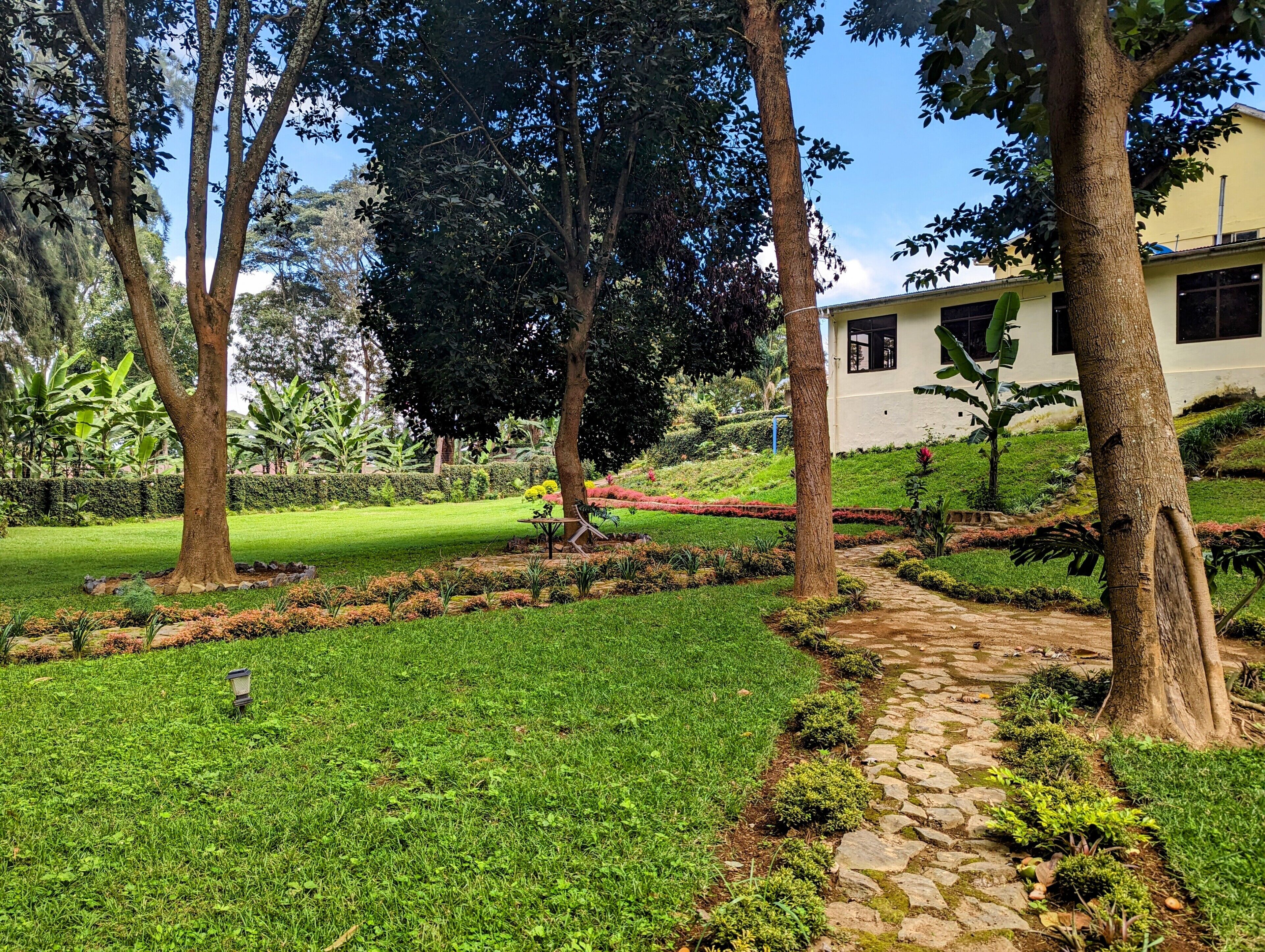 Un jardín bien cuidado con un sendero de piedra, abundante vegetación y un edificio al fondo.