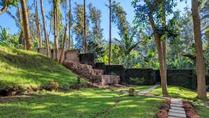 Un jardin aménagé avec un escalier en pierre, une pelouse et différentes espèces d’arbres.