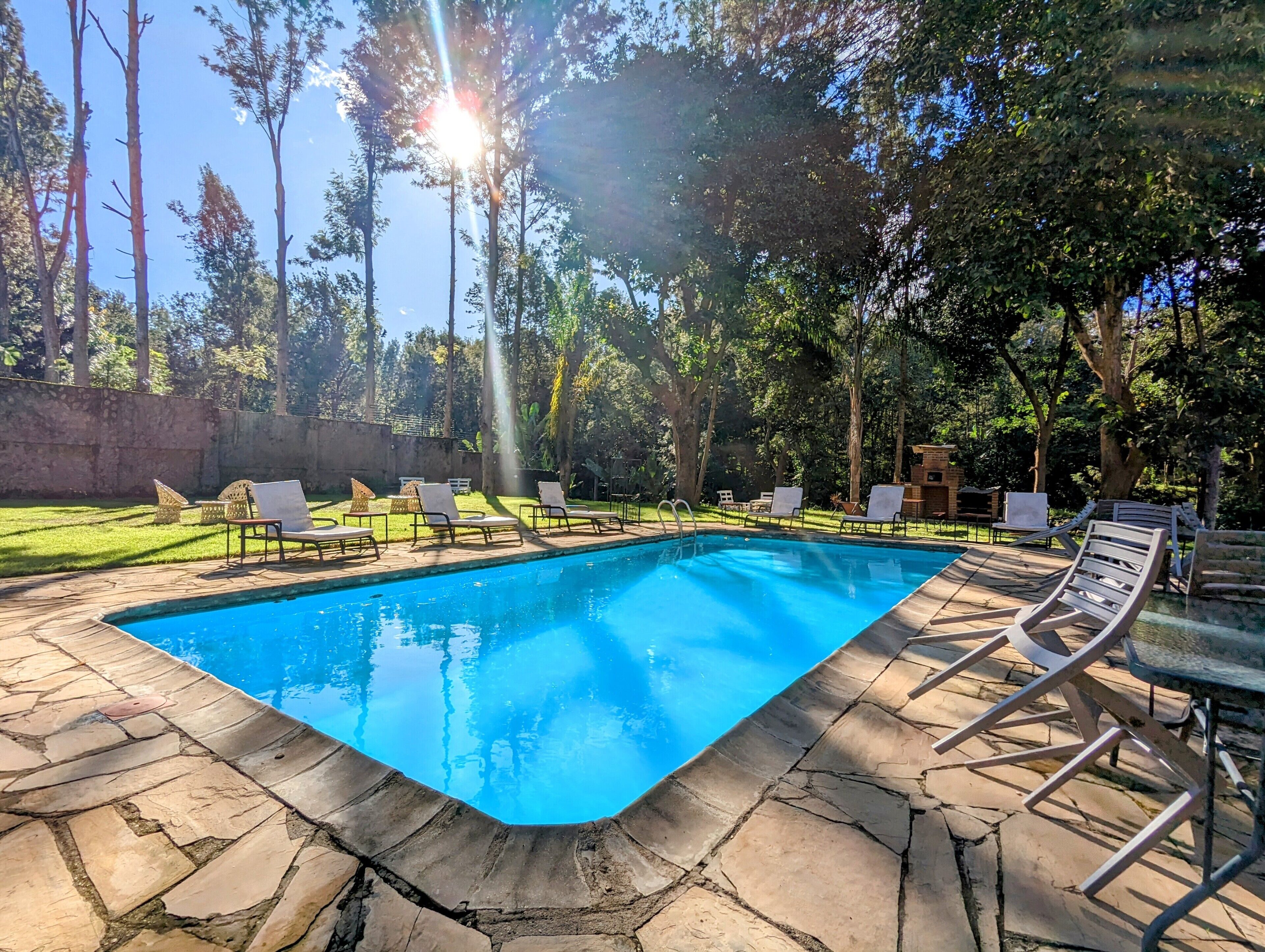 Una piscina rectangular amb una terrassa de pedra, envoltada d'llits de solàrium i taules, situada en una zona boscosa i exuberant.