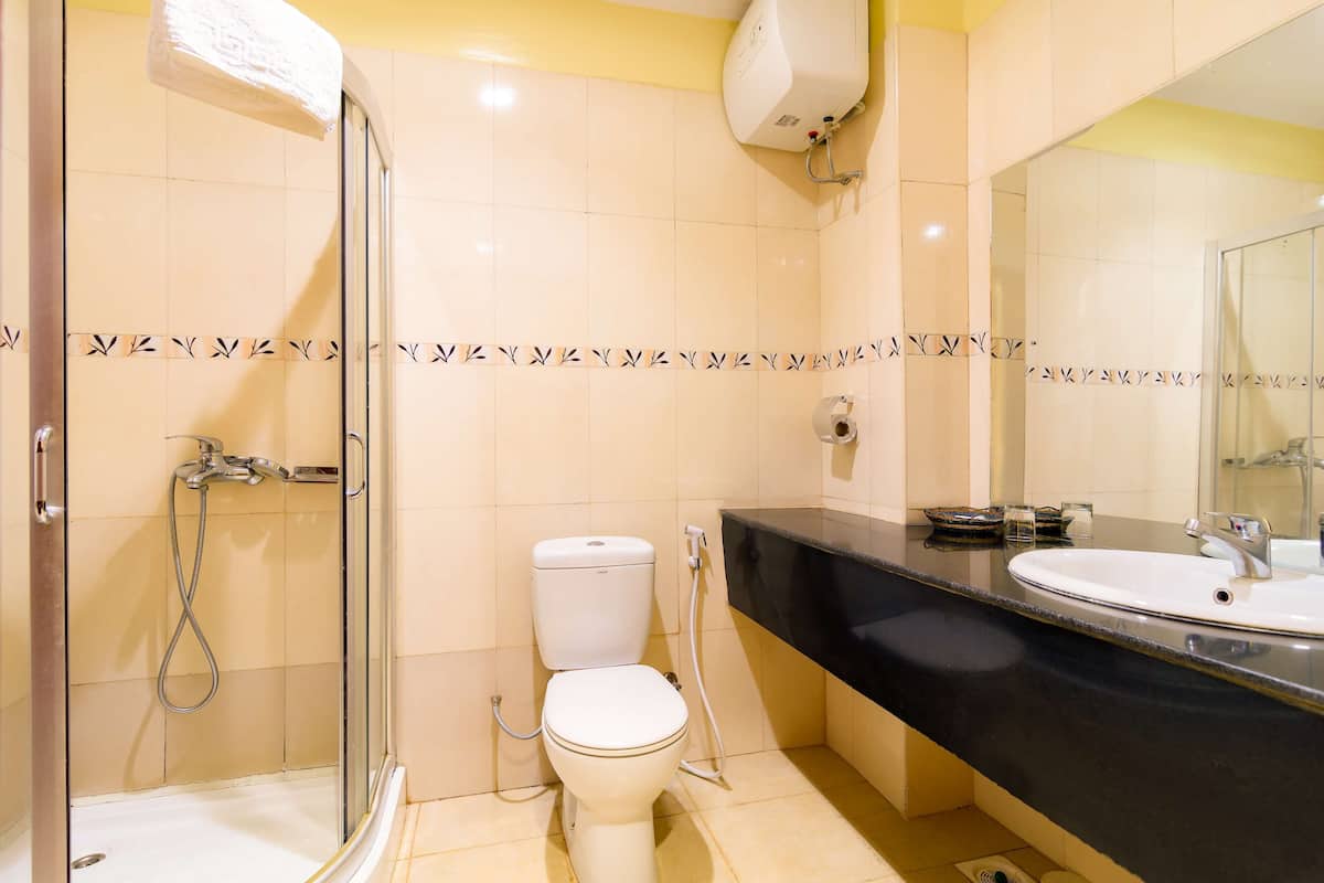 combined shower/bathtub, hair dryer, towels