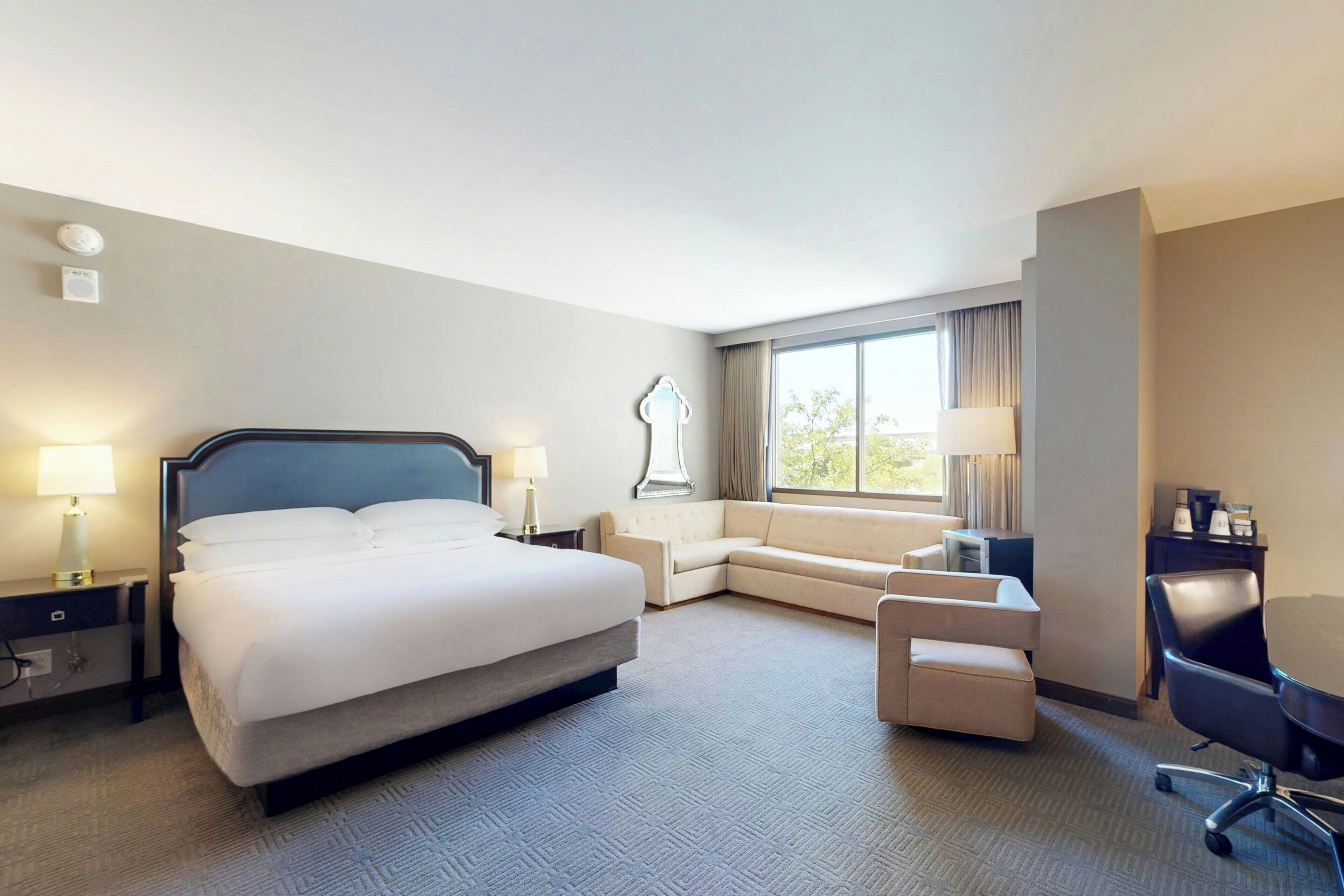 小型套房, 1 张特大床和 1 张  沙发床 | 防过敏的被褥、羽绒被、客房内保险箱、办公桌