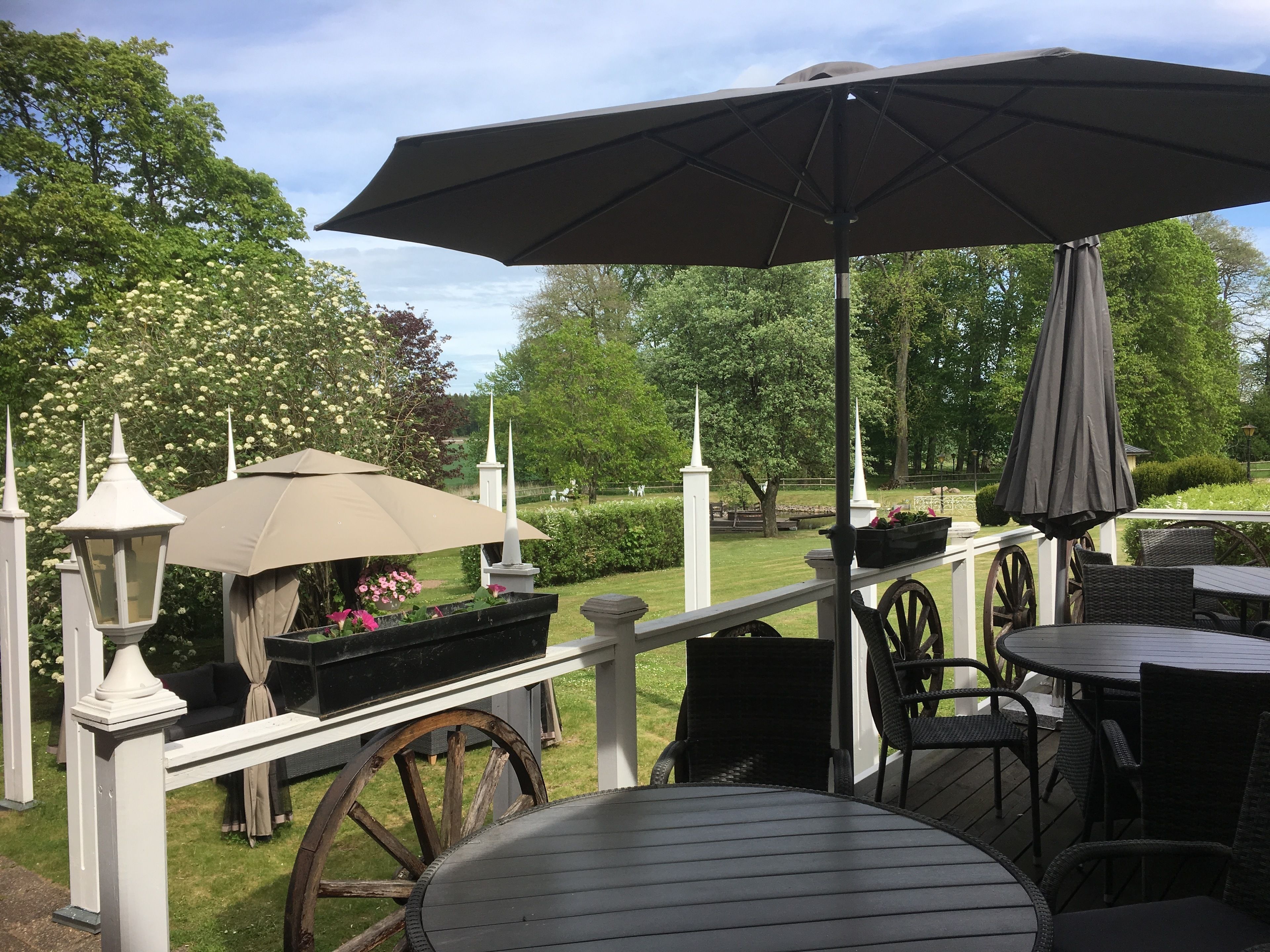 Gratis frukostbuffé 