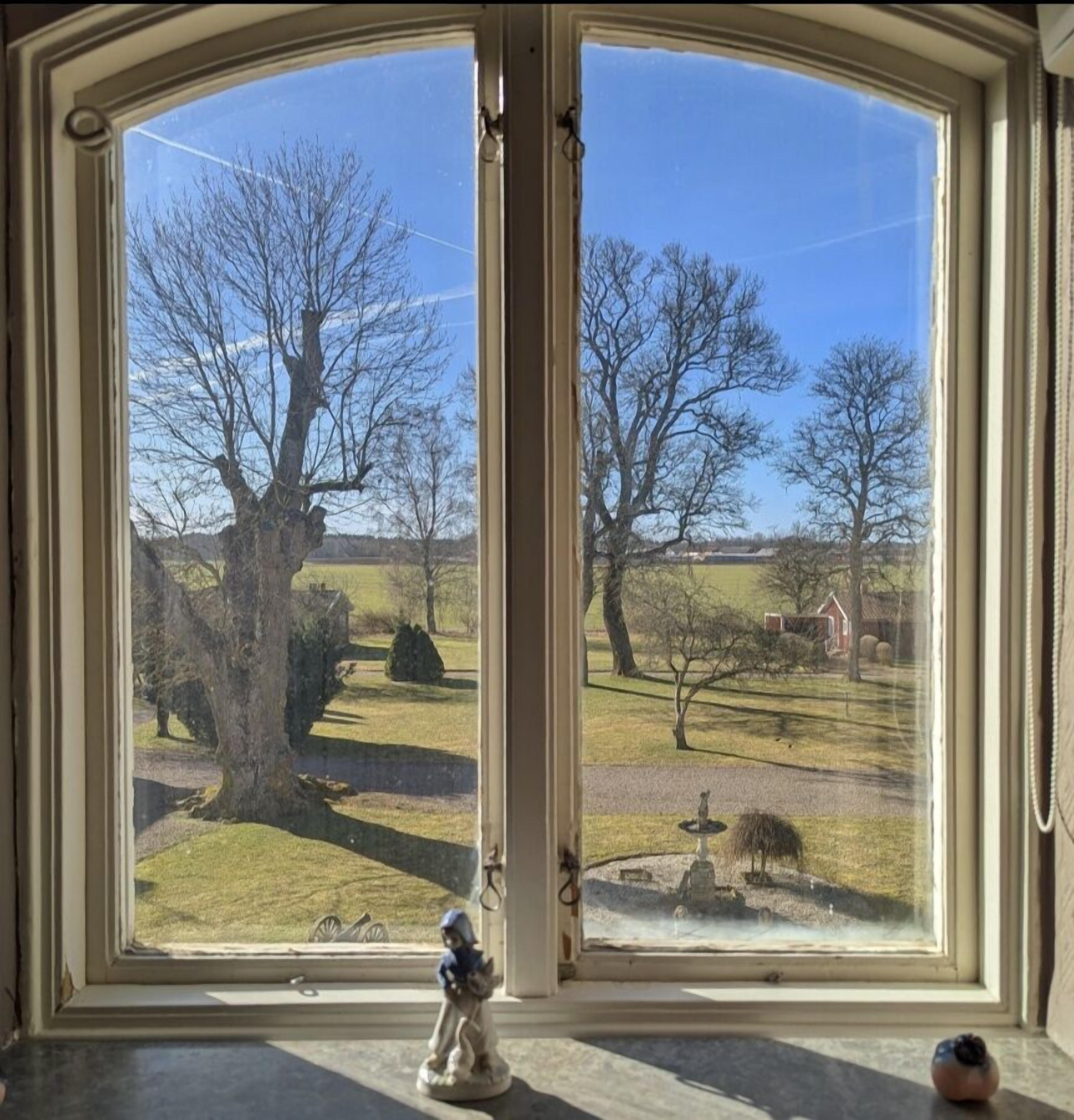 A window with a view of a grassy landscape, trees, and a distant building.