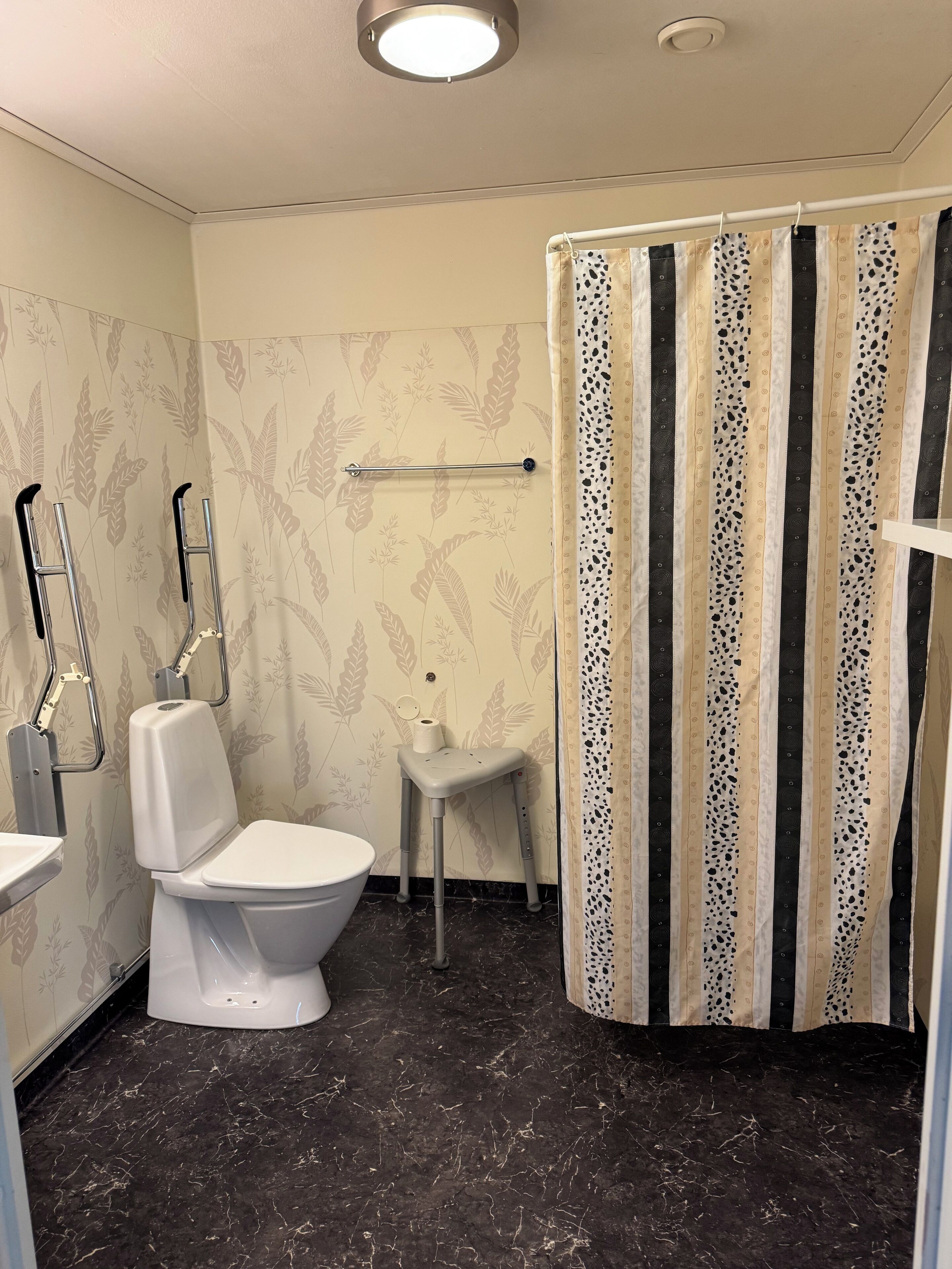 A bathroom with a toilet, a handrail, a small stool, and a shower curtain.