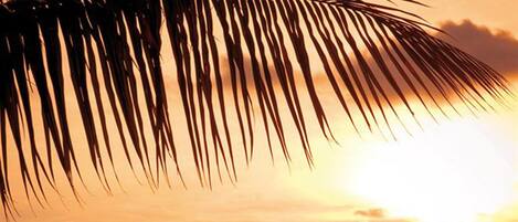 숙박 시설 내 편의 시설/서비스