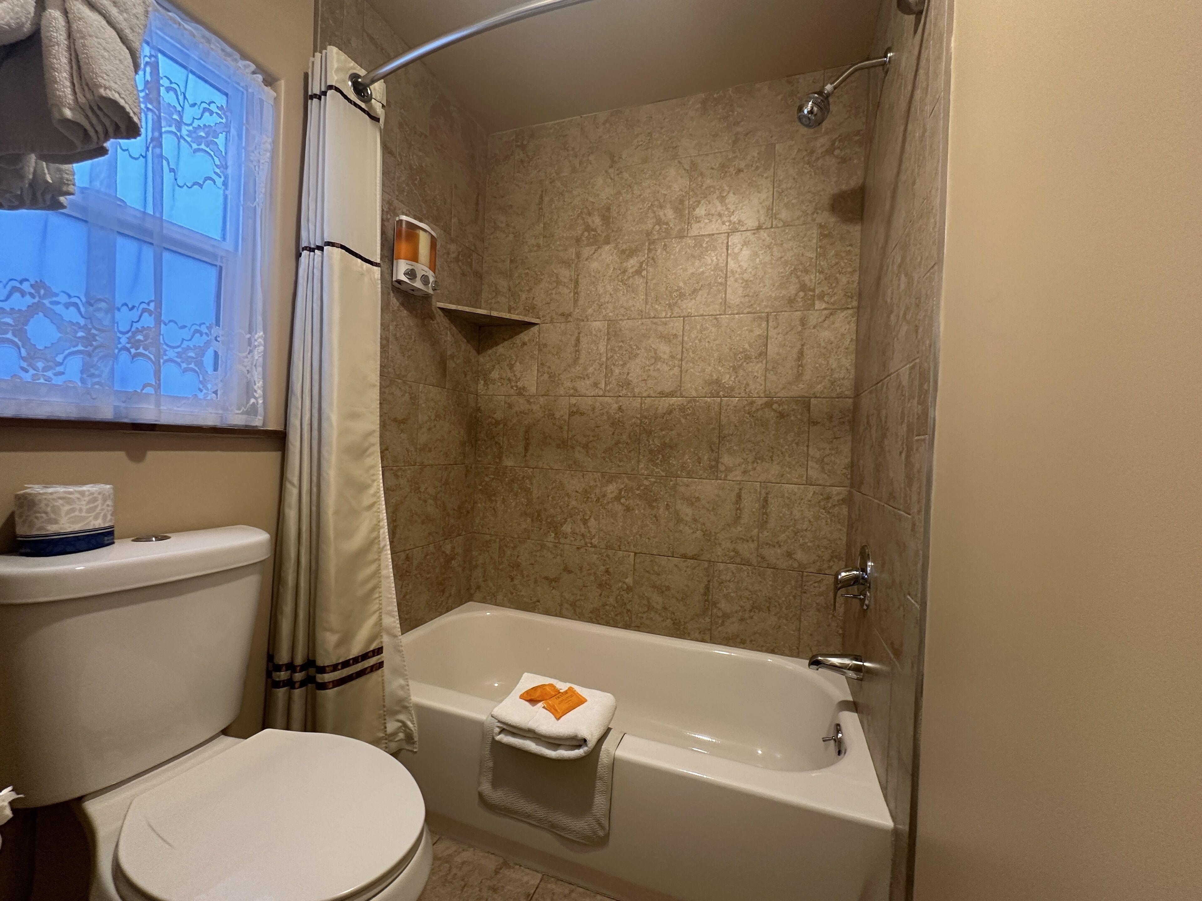 A bathroom with a toilet, a bathtub, and a shower.
