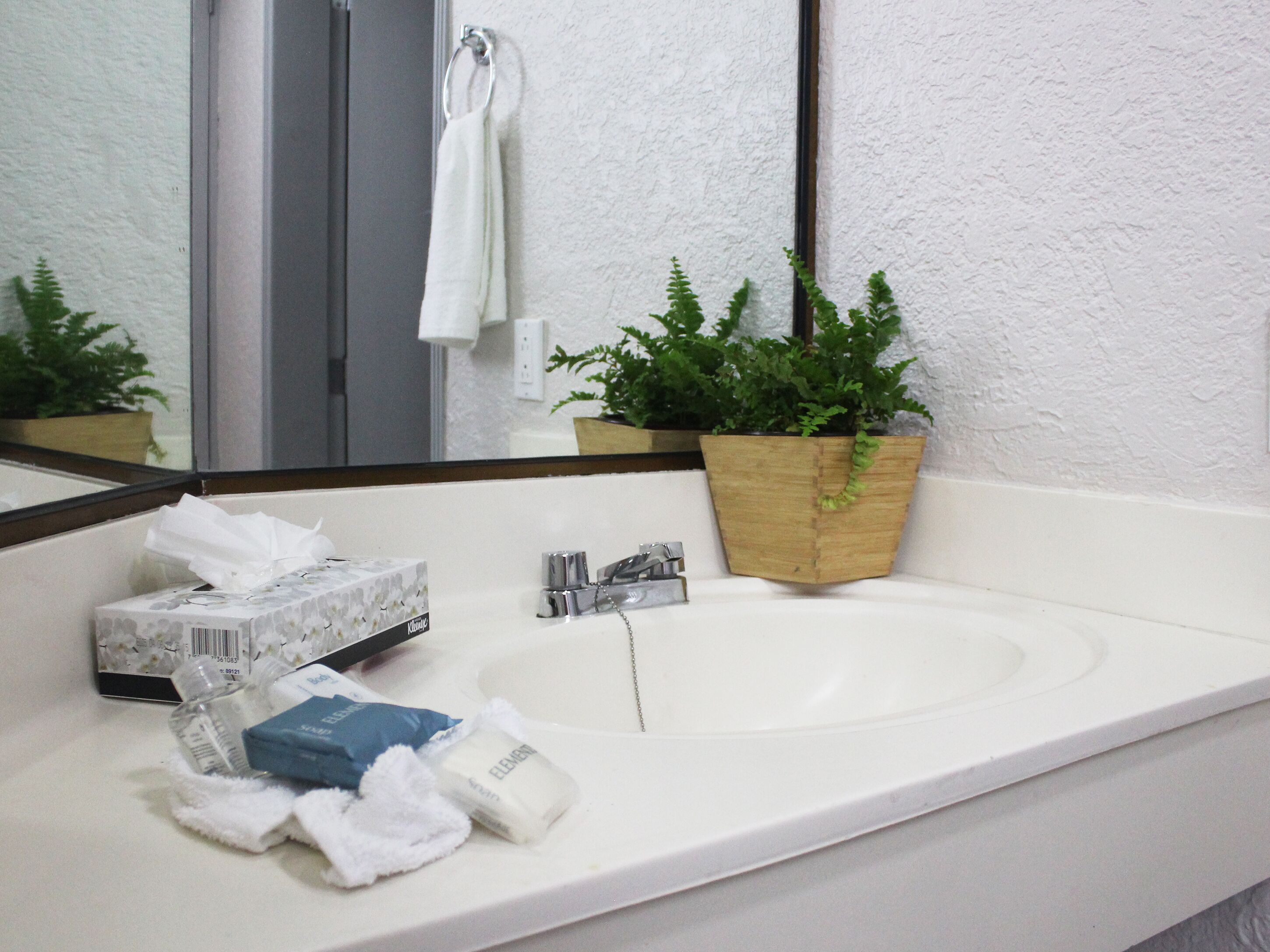 A bathroom with a white sink, a mirror, a wooden planter with green plants, and toiletries on the counter.