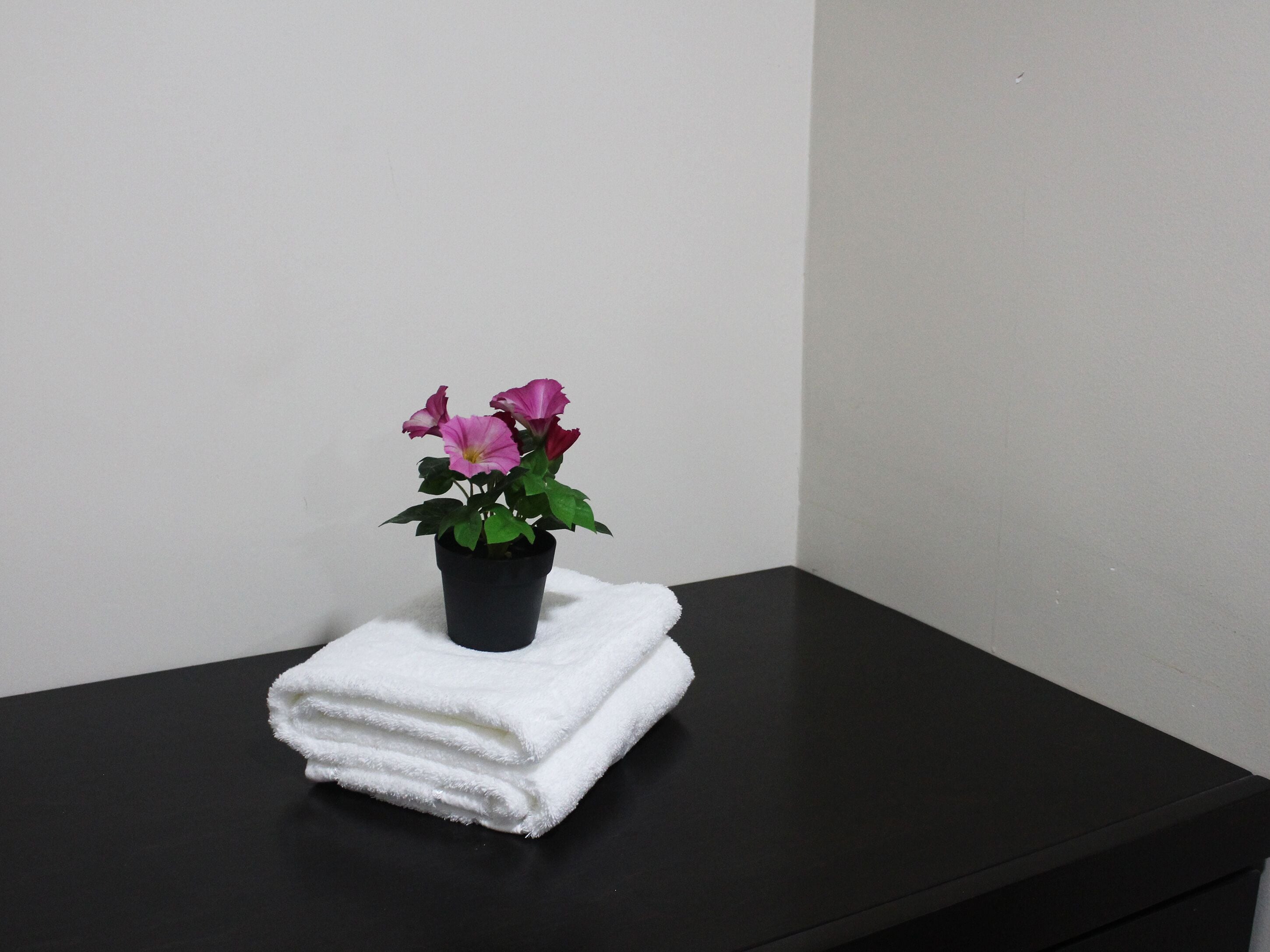 A black table with a white towel and a potted plant with pink flowers.