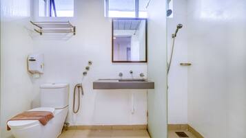 Shower, hair dryer, bidet, towels