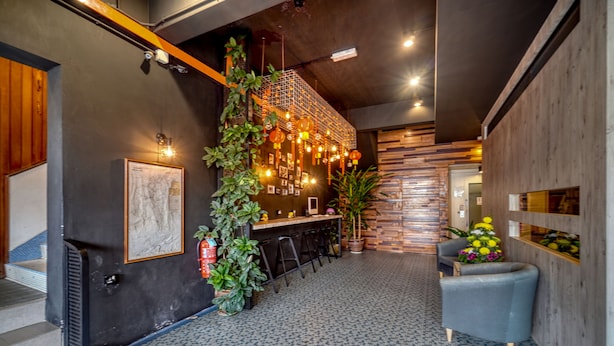 Un interior moderno con barra, asientos y plantas decorativas.